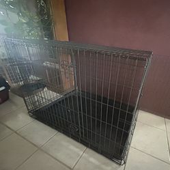 Dog Crate With a divider