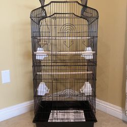 Birds Cage 