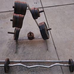 Weight, Bars & Dumbell Stand 