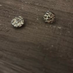 Magnetic Nugget Earrings 
