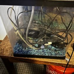 3.5 Gallon Fish Tank