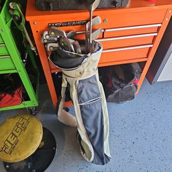Golf Bag And Assorted Golf Clubs Ladies