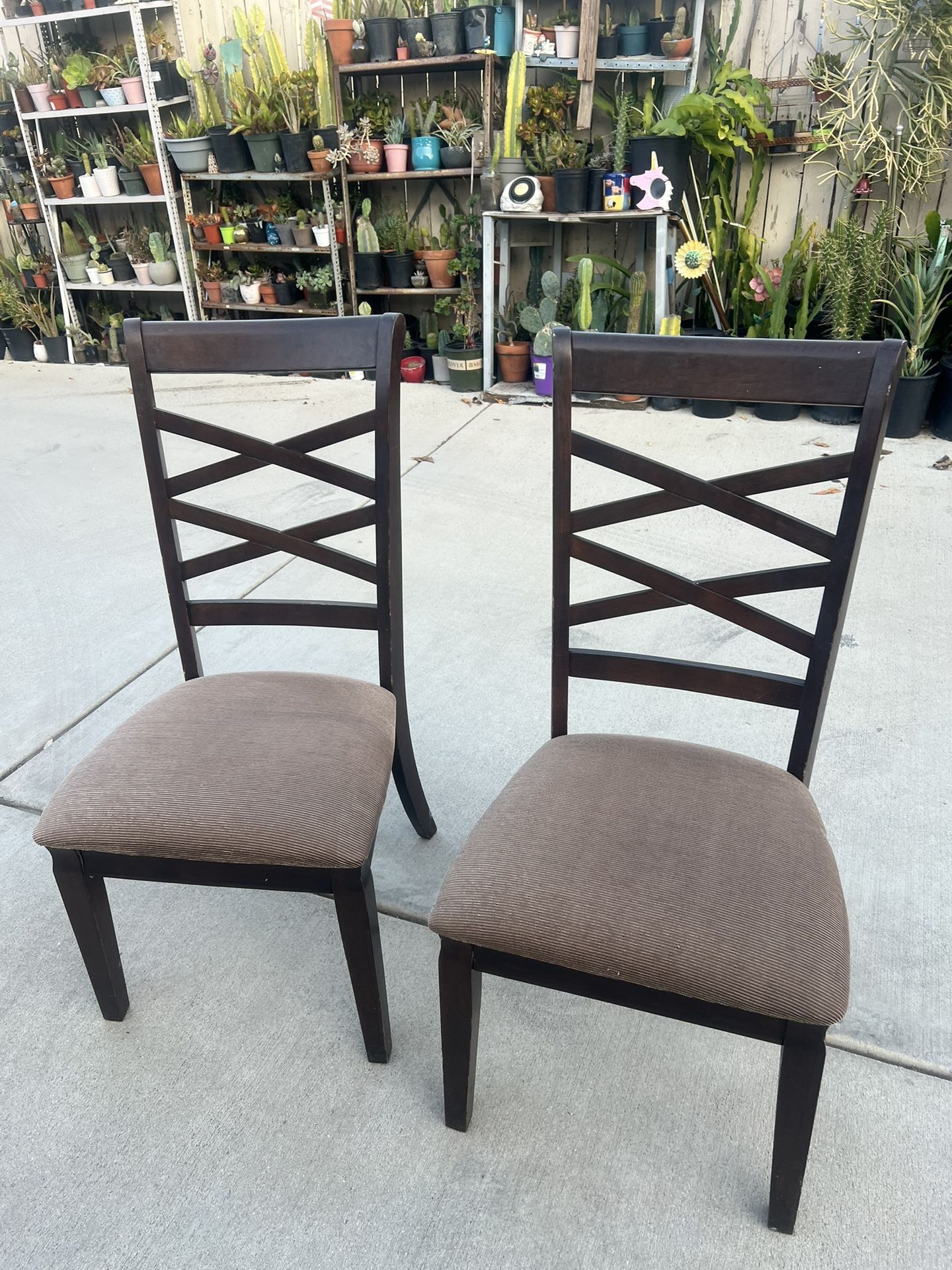 Chairs Set 18 Dlrs