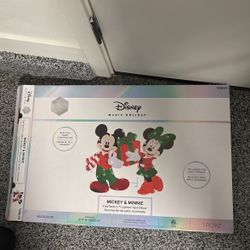 Mickey and Minnie Christmas Lights.