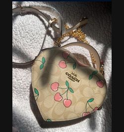Coach Heart Shape Bag