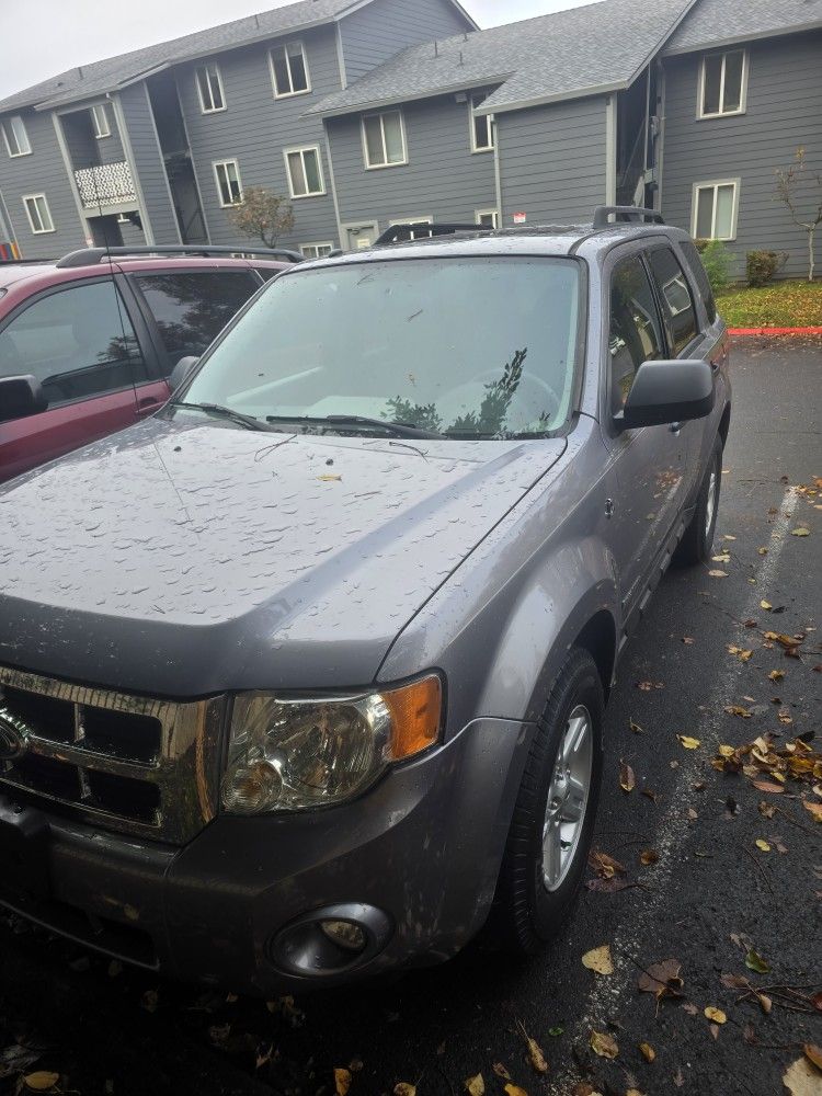 2008 Ford Escape
