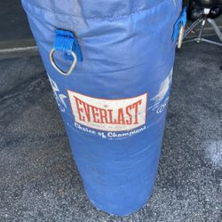 Everlast Punching Bag 