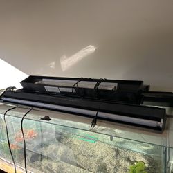 Fish Tanks Lights 