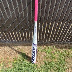 Easton Bat Size 30