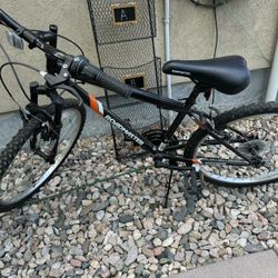 Roadmaster Bicycle 