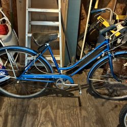 Schwinn Girls Bike Storage For Over 25 Years In A Shed It’s An Antique $195 As Is