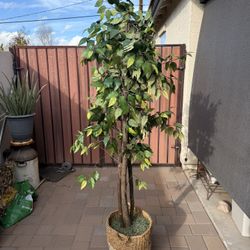 Indoor/Outdoor Synthetic Plant 