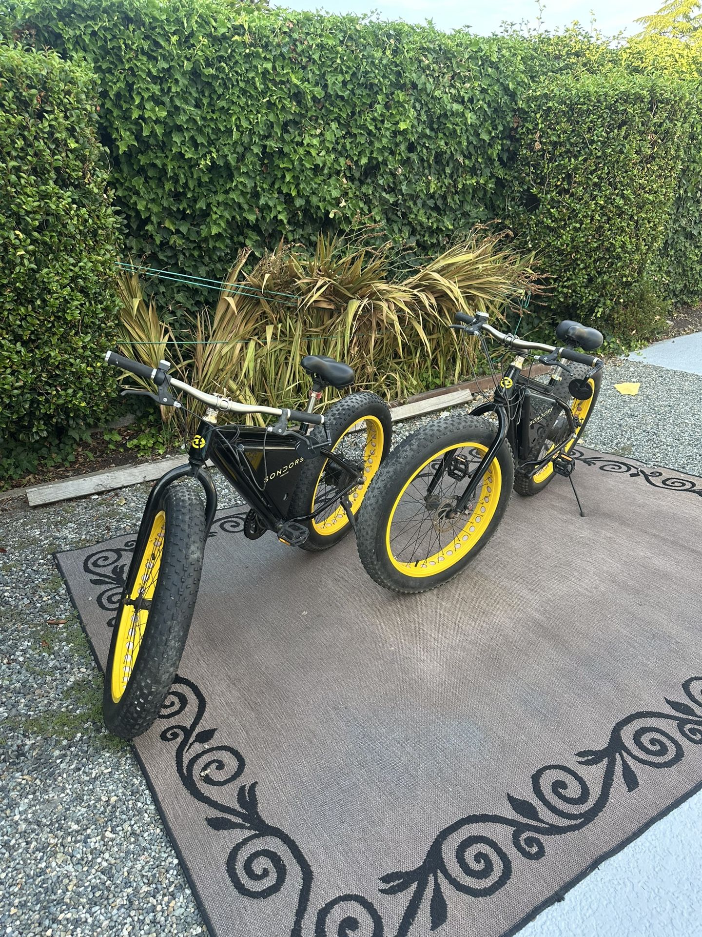 Electric Bike