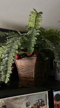 Fake plants