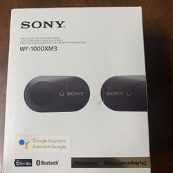 Sony WF-1000XM3