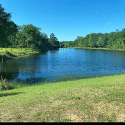 Lot 12 Deerwood Lakes Hempstead, Texas  10,594 Square Foot   $20,000