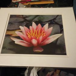 Mark Pemberton Photagraphy