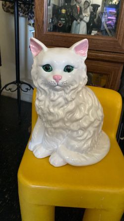 S now White Blue Eye Cat