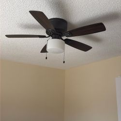 Ceiling Fan