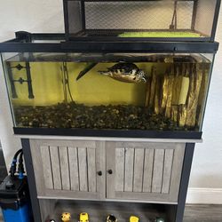 40 Gallon Tank, Stand, and Heater