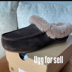 Ugg Slides 