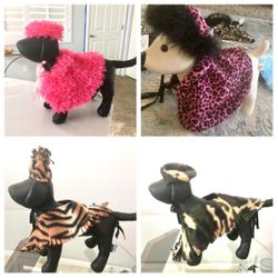 New Dog Clothes, Outfit 