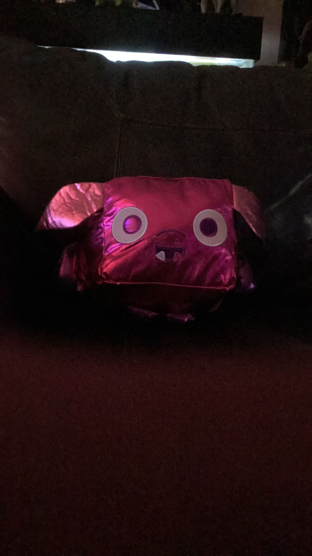 A Plushy That My Brother Use No More