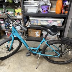 Specialized Roll Low Entry Bike