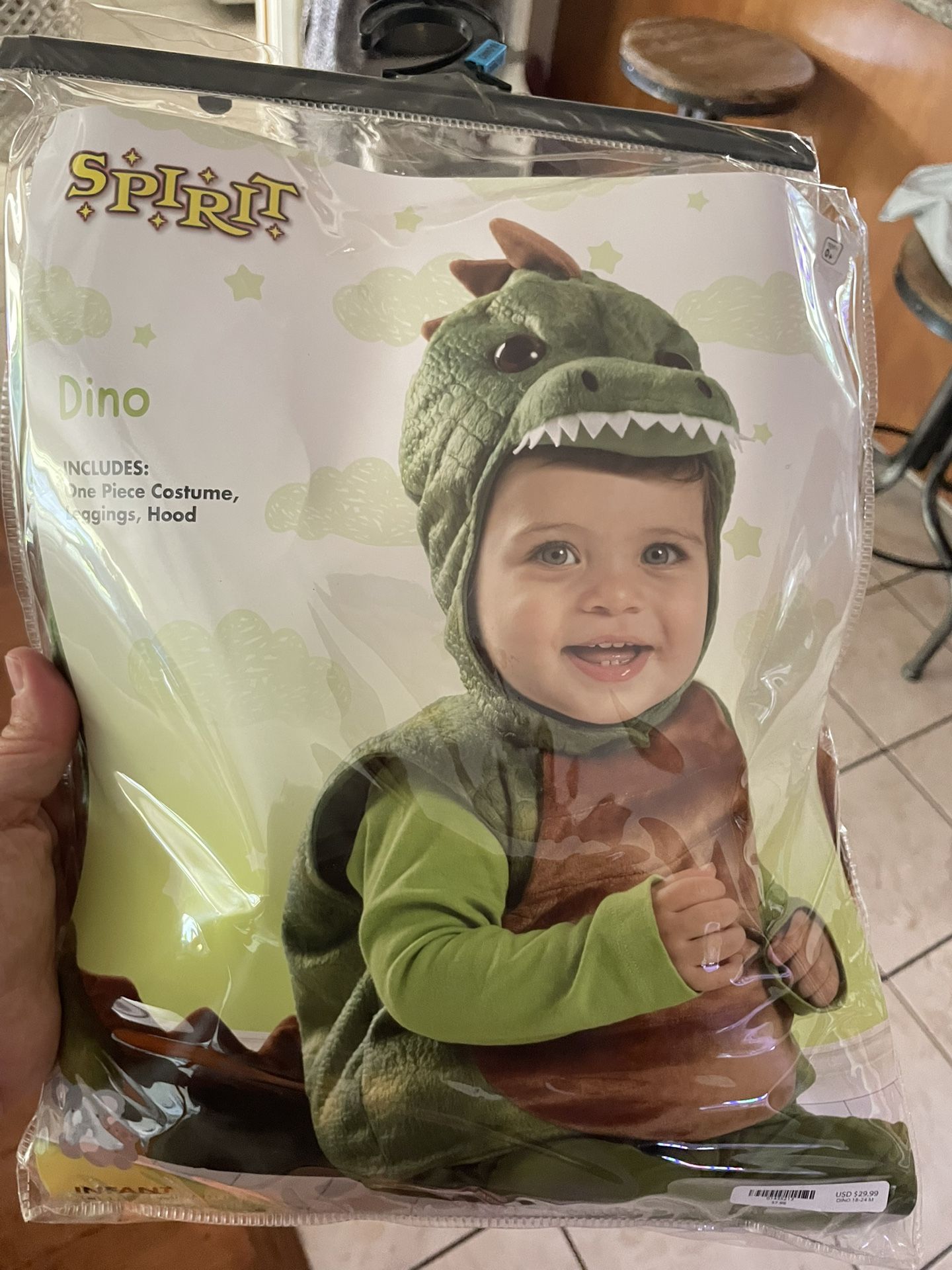Dino Costume