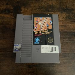 Volleyball Nintendo NES