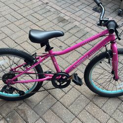 Guardian Sure stop Bike 5-8 years old