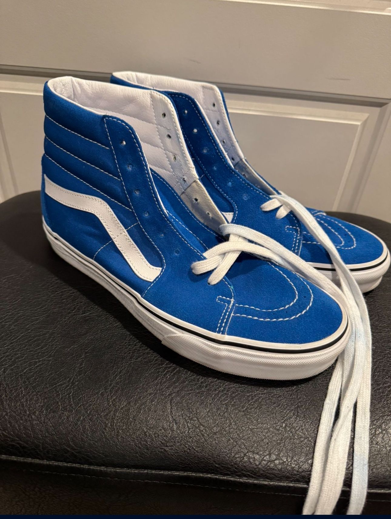 Vans Skate Hi
