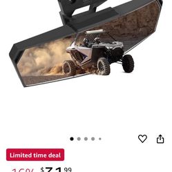 Rzr Mirror