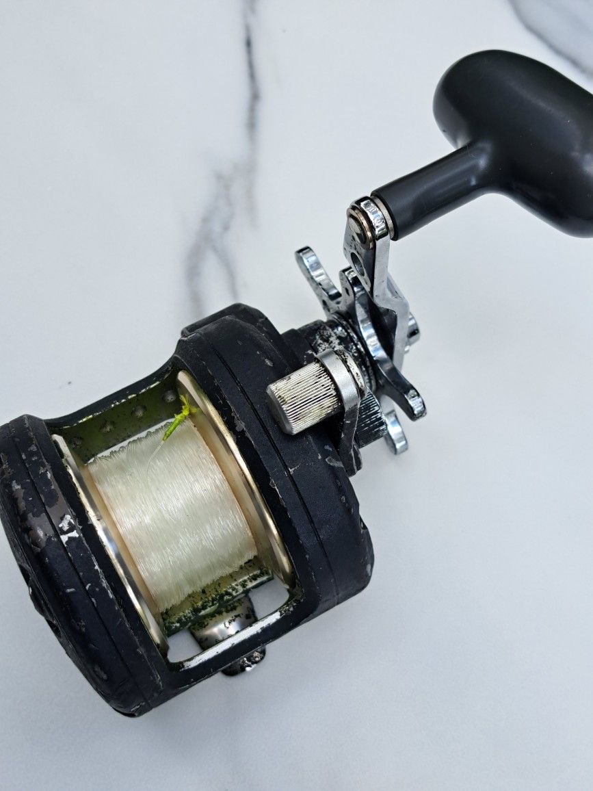 Daiwa Saltist Fishing Reel.