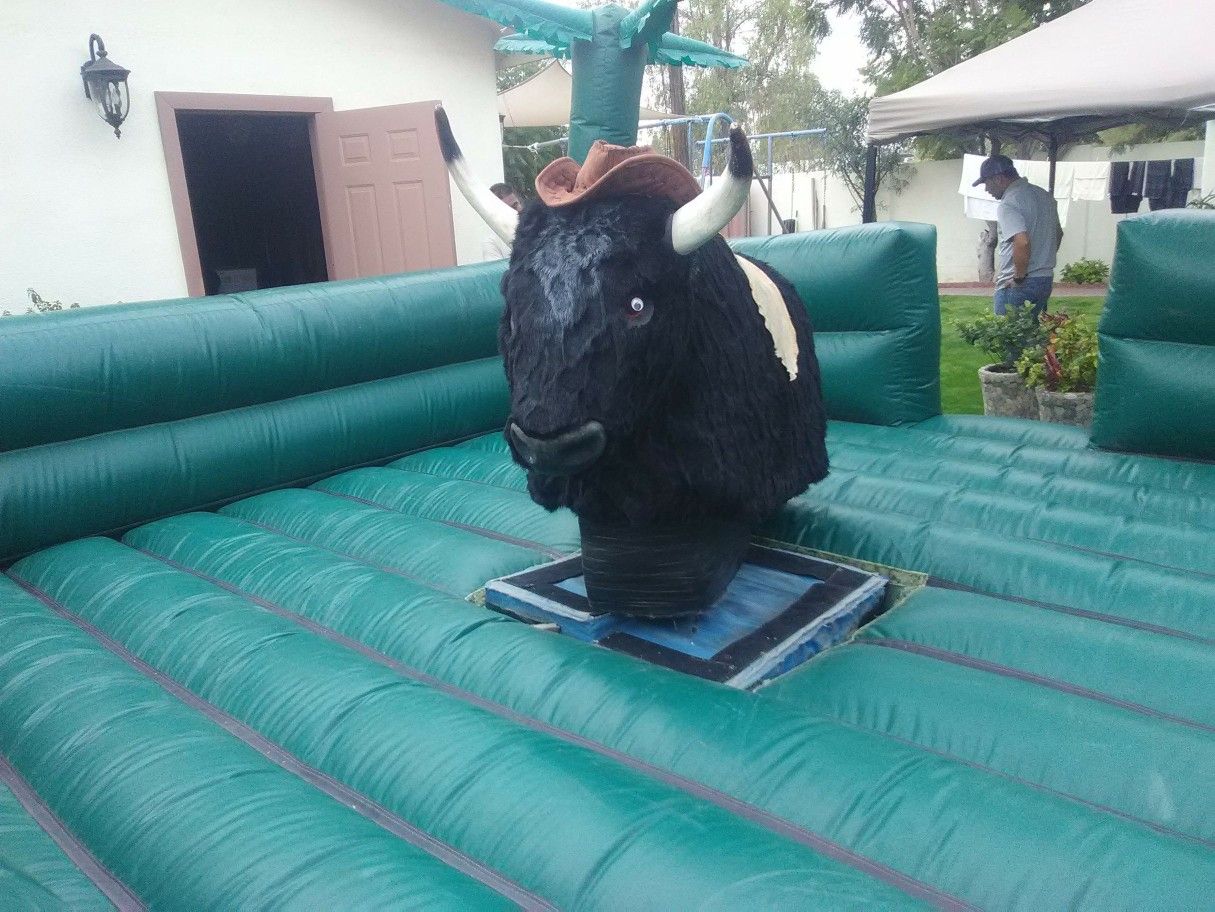 Toro mecanico. Waterslide. Mesas.
