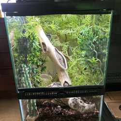 Lessee Ball Python Bio active Cage