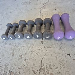 Dumbbells cast-iron weights set