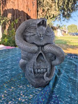 Resin skull