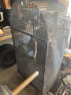 Bird Cages