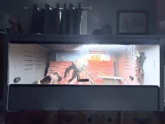 Ecoflex New Age Pet 48”