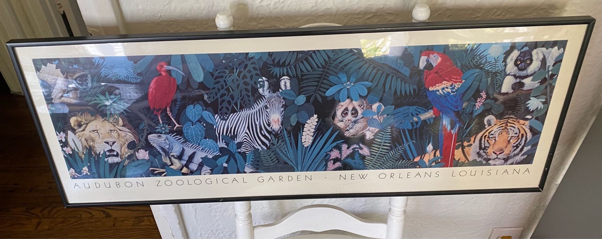 1990s Audubon Zoological Garden poster, originally from New Orleans, Louisiana 38.25x14.5