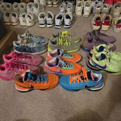 LeBron James Basketball Shoes