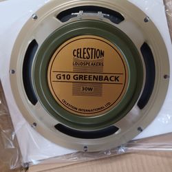 Guitar Speaker