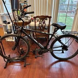 Luna Bafang bbshd 1000w beach cruiser bike 29 inch wheel