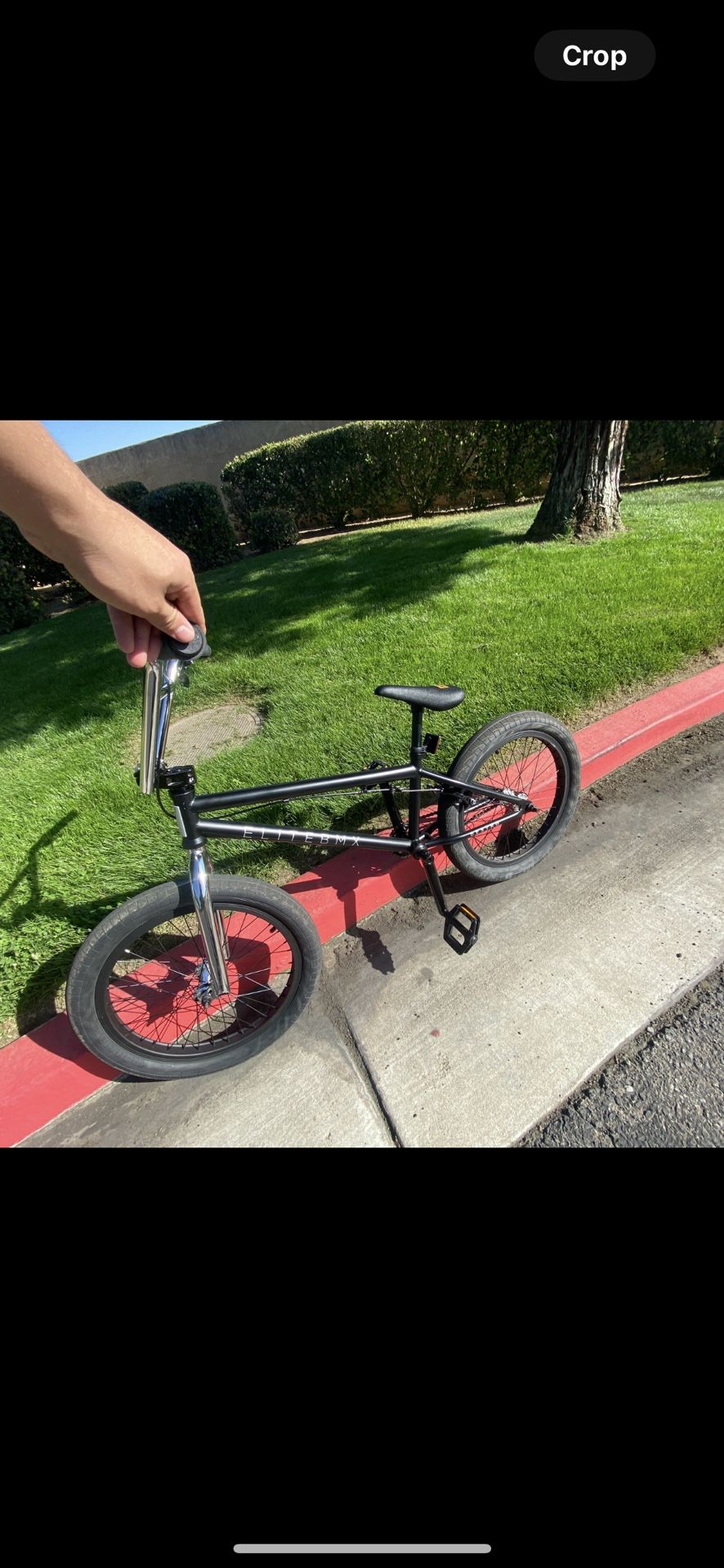 Elite BMX BIKE