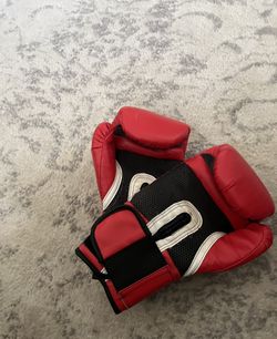 Everlast 14 Oz Gloves