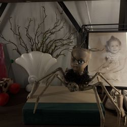Spider Ride Babydoll Head - Halloween Decor