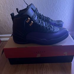 jordan 12 retro purple 