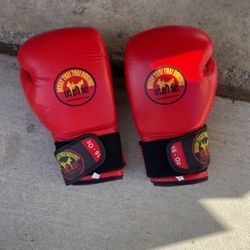 Muay Thai Thai Boxing 16 Oz Boxing Gloves 