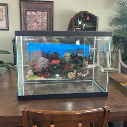 Fish Tank 